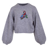 Papegaai Paillette Strijk Embleem Patch op een grijze sweater