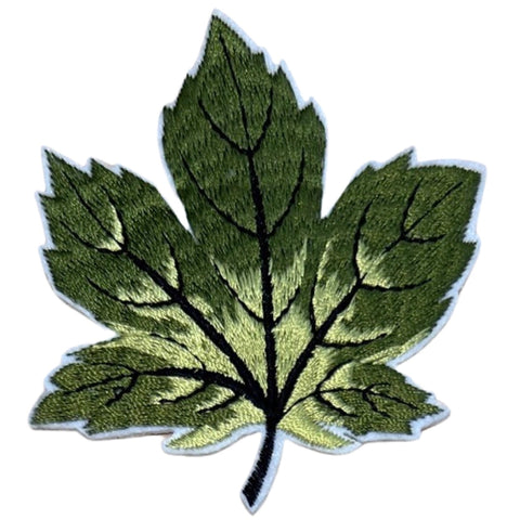 Herfstblad Herfst Blad Strijk Embleem Patch Mos Groen
