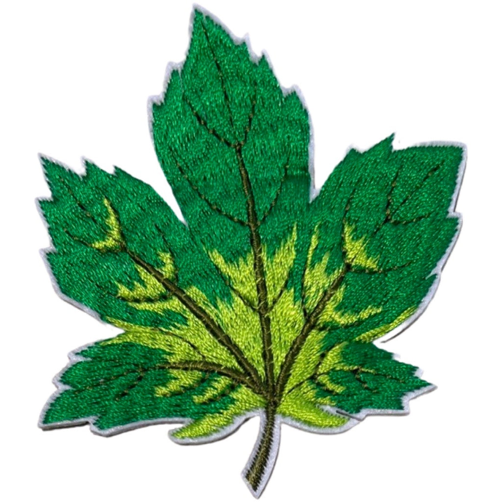 Herfstblad Herfst Blad Strijk Embleem Patch Groen