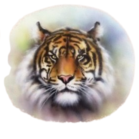Tigerkopf wild und kostenlos zum Aufbügeln