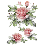 Rozen Bloemen Full Color Strijk Applicatie