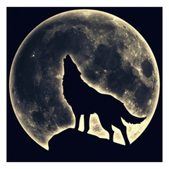 Wolf Moon Bügelanwendung