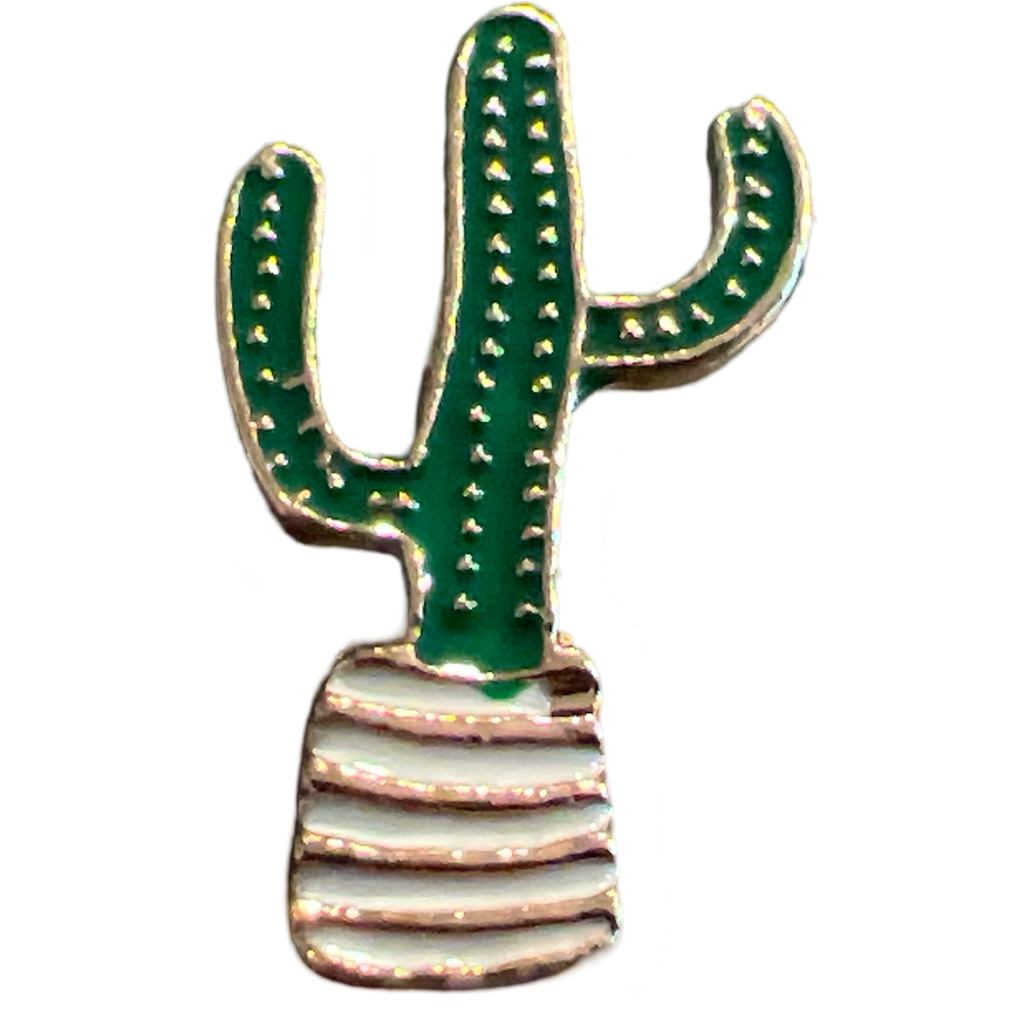 Cactus Emaille Pin In Pot