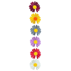 Daisy Margriet Flowers Bügel-Emblem-Aufnäher, kleines Set, 6 Stück
