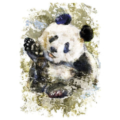 Pandabär-Designanwendung