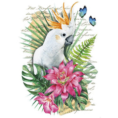 Kakadu-Vogel XL Bügelapplikation Tropisch