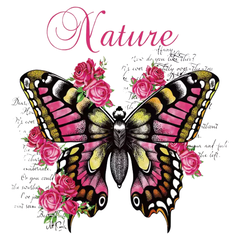 Schmetterling, Natur, Rosen, Blumen, zum Aufbügeln