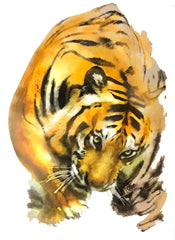 Tiger Creeping Indischer Tiger zum Aufbügeln