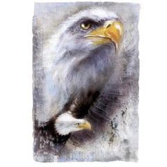 Adler, Adler, Greifvogel, zum Aufbügeln
