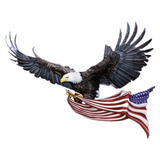 USA Freedom Eagle Bügelanwendung