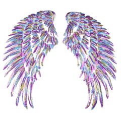 Wing Angel Paillette Wings XXL Emblem-Patch-Set zum Aufbügeln, mehrfarbig