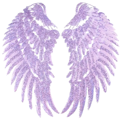 Wing Angel Paillette Wings XXL-Emblem-Patch-Set zum Aufbügeln, Flieder