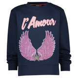 Vleugel Engel Paillette Vleugels XXL Strijk Embleem Patch Set L+R Roze samen met een paillette zilverkleurige ster patch  op een donkerblauwe sweater met L' Amour tekst