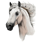Paard Paarden Pony Strijk Applicatie