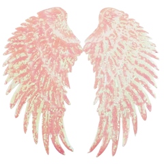 Wing Angel Paillette Wings XXL-Emblem-Patch-Set zum Aufbügeln in Rosé