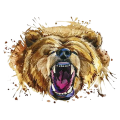 Bear Roar Bear Bügelanwendung (bestellt)