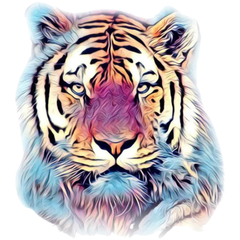 Vollfarbige Tiger-Kunst-Aufbügelanwendung