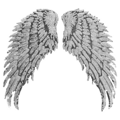 Wing Paillette XL-Emblem-Patch-Set zum Aufbügeln