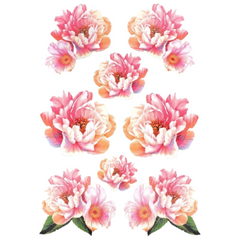 Wilde Rose Anemone Pfingstrose Blume Vollfarbige Applikation zum Aufbügeln