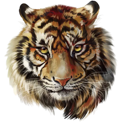 Tiger Bügelanwendung Pranja XL